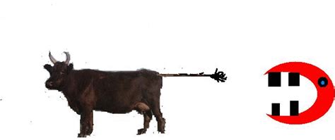 一只牛打一汉字