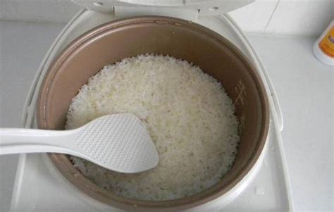 一斤米加多少水打米浆