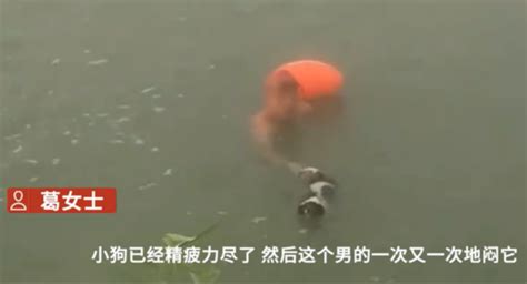 一男子将狗闷在水里挣扎