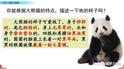 三年级下册国宝大熊猫作文