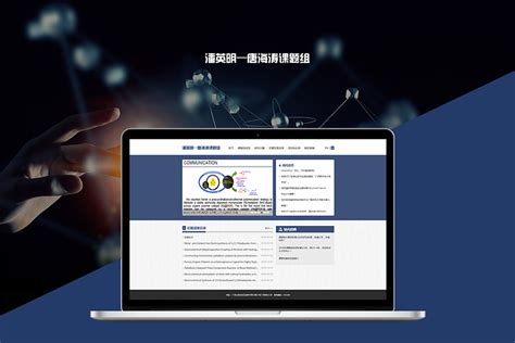 上海专业网站建设图片
