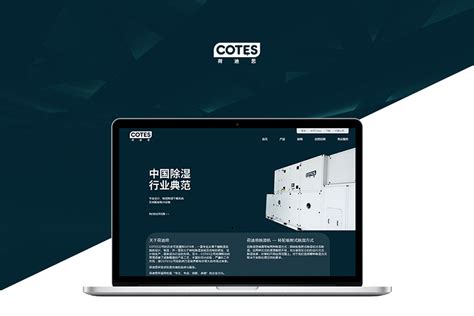 上海专业网站推广的公司