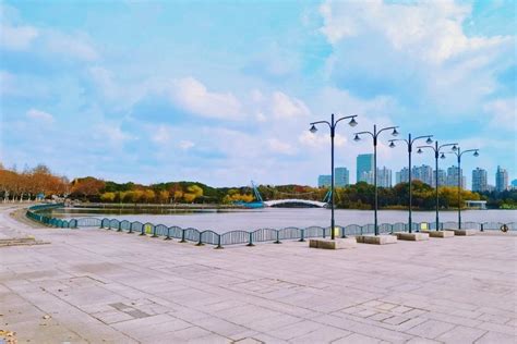 上海世纪公园要预约吗