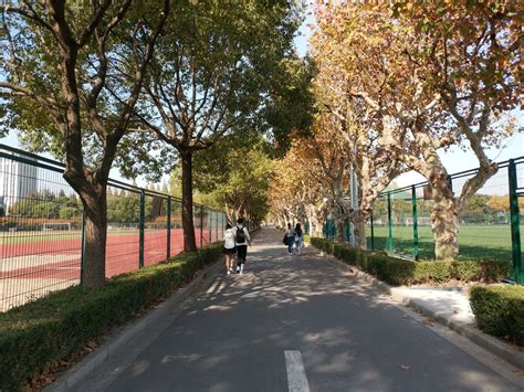 上海体育学院一年学费