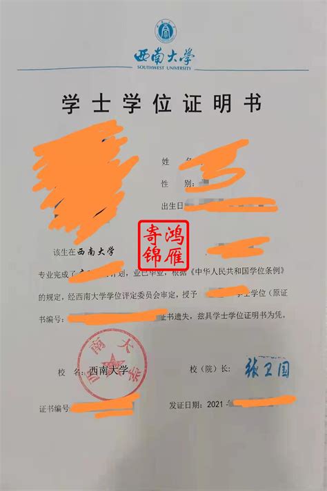 上海大学毕业证书补办