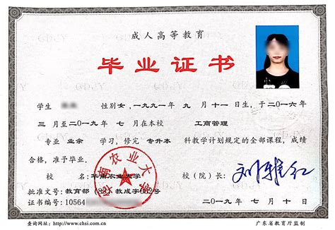 上海成人大学文凭证书图
