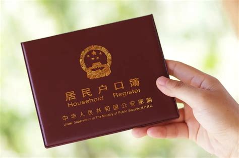 上海户口 国外工作签证