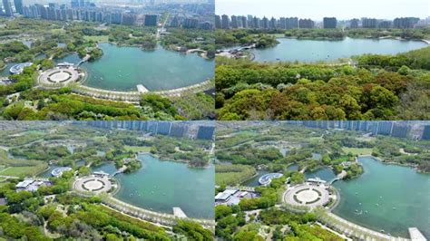 上海浦东世纪公园图片