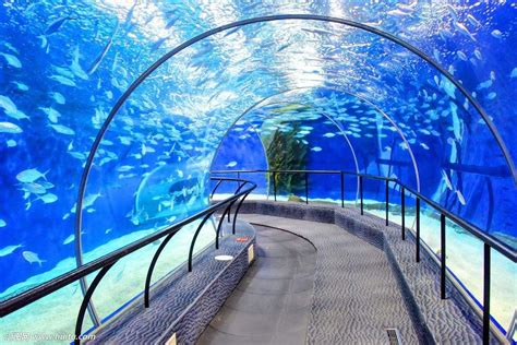 上海海洋水族馆只让玩3小时吗