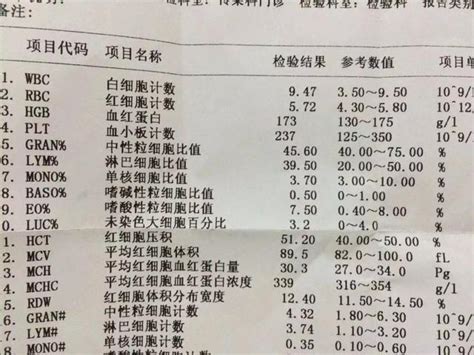 上海血检多少钱一次