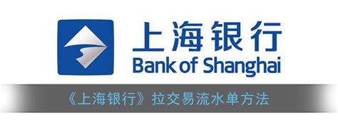 上海银行拉流水只能线下吗