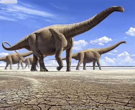世界上最大的四大恐龙排名