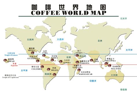 世界咖啡豆排名