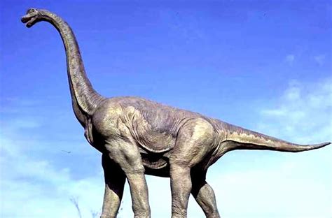 世界第一只恐龙有多大