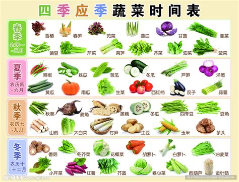 东北各种蔬菜种植时间一览表