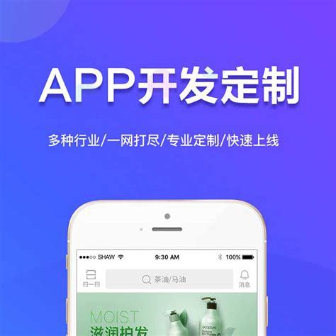 东坑app开发定制