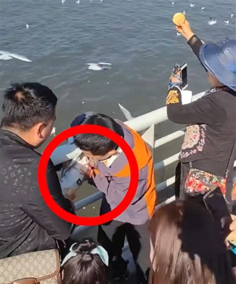 两个人带孩子抓海鸥