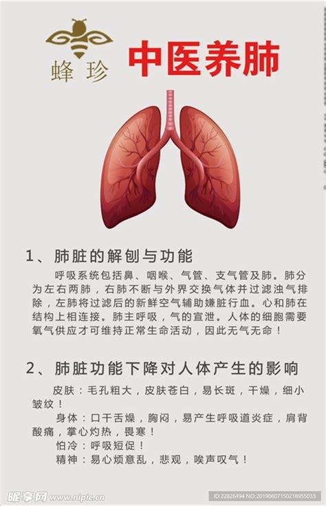 中医对肺的养生功效
