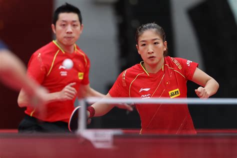 中国乒乓球现在男女队教练
