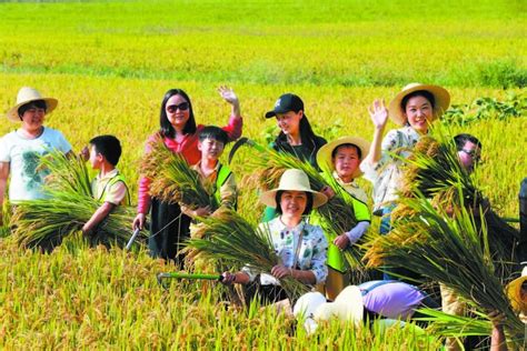 中国农民集体经济