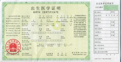 中国出生证书样本