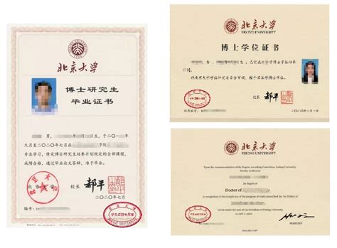 中国北大毕业证书图片样本