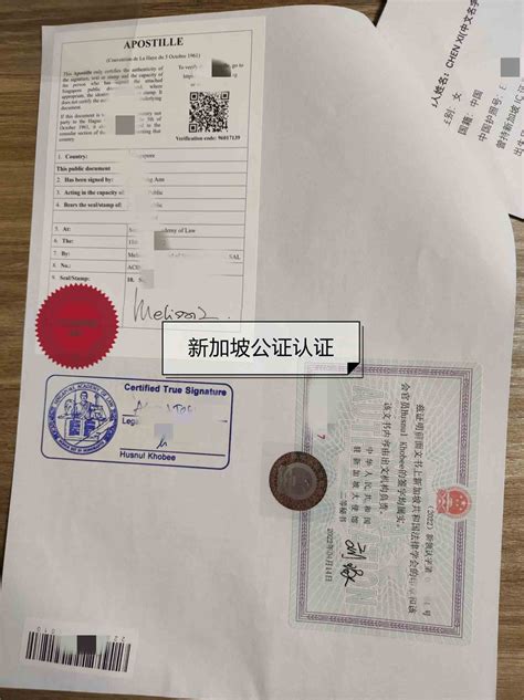中国国内认可的国外公证