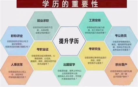 中国大企业入职学历要求