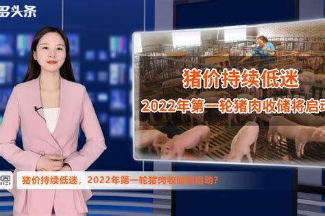 中国官方网站猪价直播2023年