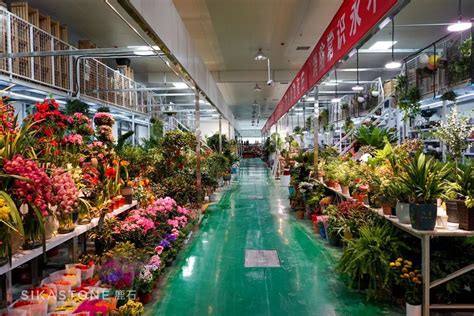 中国最大花盆生产基地