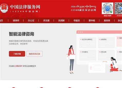 中国法律网络服务