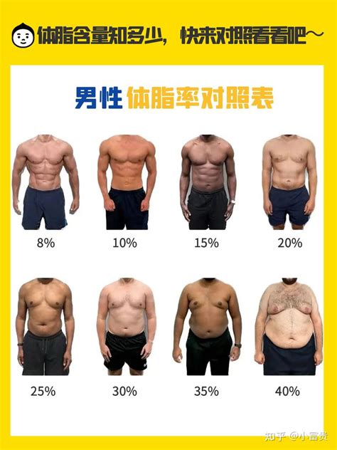 中国男足体脂率