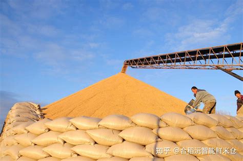 中国的进口粮主要是什么
