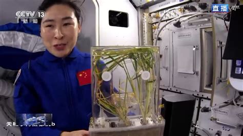 中国空间站里种水稻需要多长时间