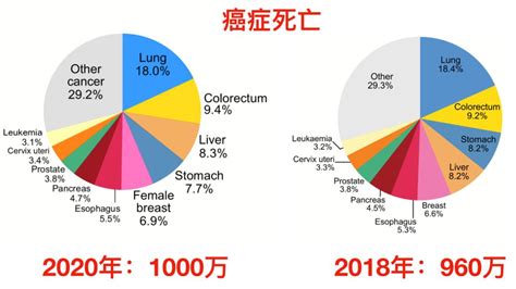 中国肺癌占全部癌症的比例