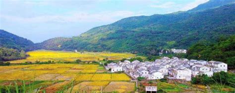 中国走集体道路的十大名村