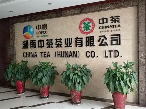 中茶公司网站特点