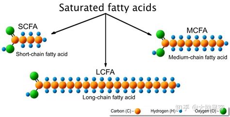 中长链脂肪酸油脂特征指标