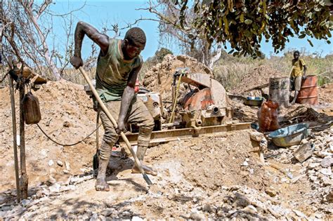 中非共和国一金矿9人被爆头后续