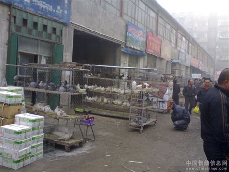 丹阳附近斗鸡交易市场