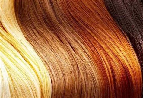 为什么人类头发颜色不同
