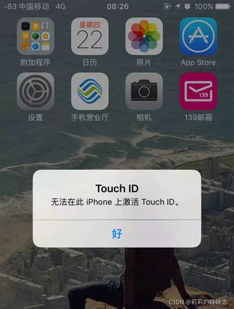 为什么iphone上激活不了touch id