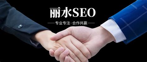 丽水seo推广服务公司排名