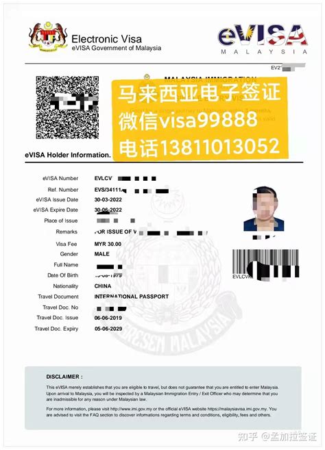 义乌办理电子签证