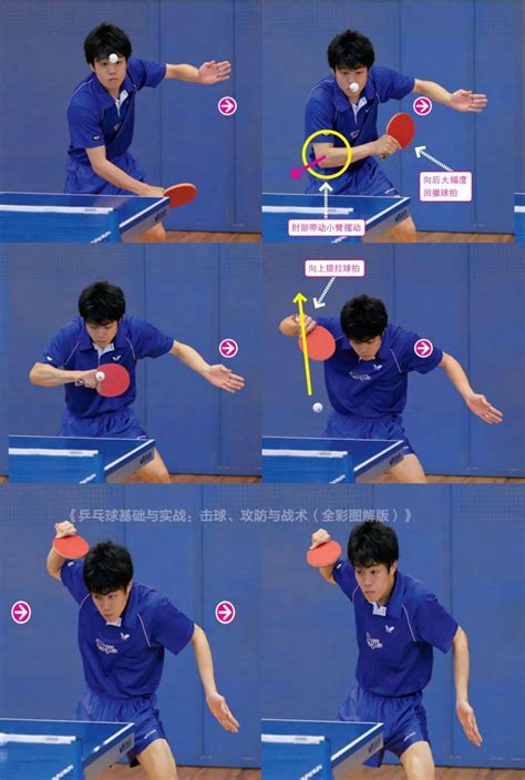 乒乓球直拍发上旋球技术视频教程