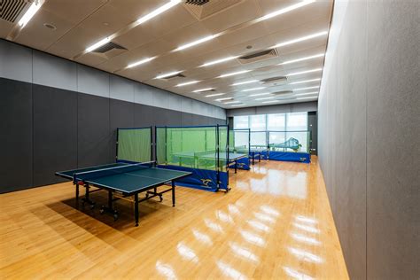 乒乓球训练馆正规场地尺寸
