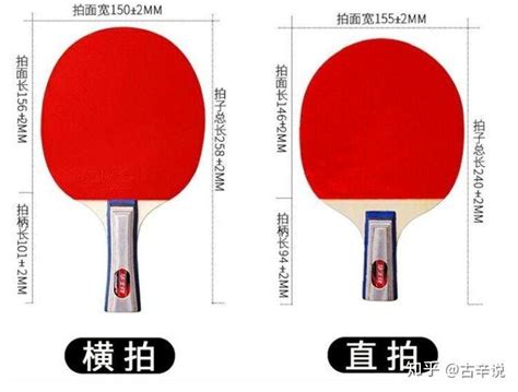 乒乓球长宽高分别是多少