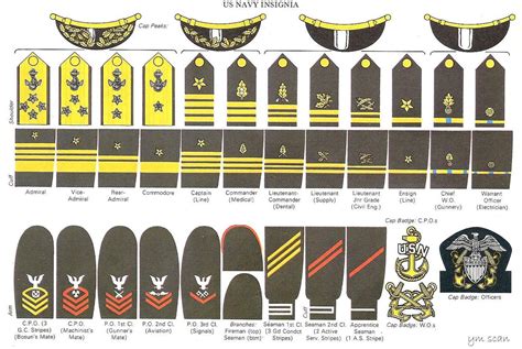 二战美国海军军衔