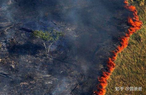 亚马逊森林火灾燃烧面积