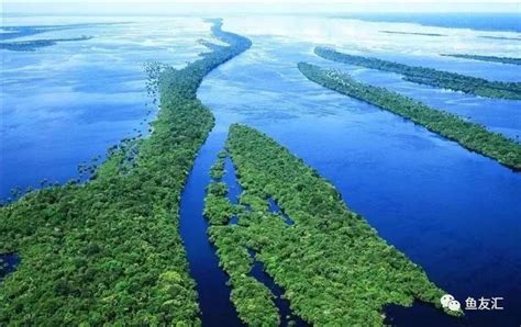 亚马逊河最宽处多少米